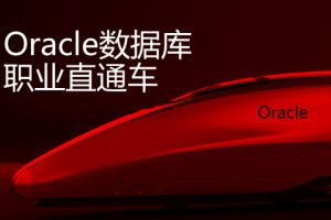 炼数成金 【快班】Oracle职业直通车