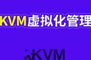 大厂Data Center KVM虚拟化技术 深入KVM虚拟化基实战部署 数据中心效能提升大揭秘