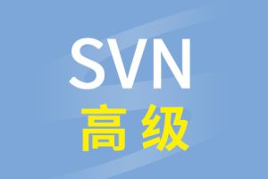 尚硅谷SVN高级视频