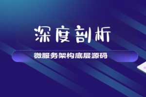 【大厂学苑】深度剖析微服务架构底层源码