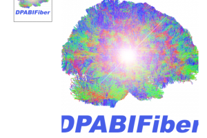 DPABIFIBER脑结构纤维与脑功能融合高阶课程