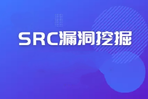 2024最新SRC漏洞报告