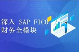 深入浅出学习 SAP S4 HANA FICO 财务全模块