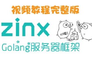 Zinx-Golang轻量级TCP服务器框架 – 带源码课件