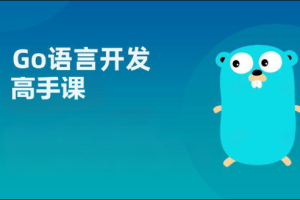 Go服务开发高手课